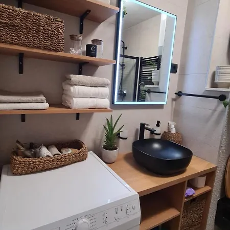 公寓 With Sauna In Centre